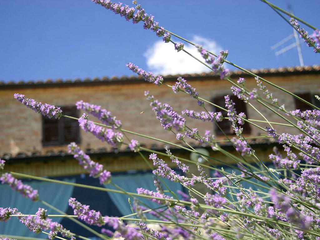Villarondanella Fermo Extérieur photo